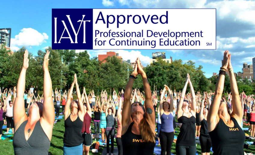 IAYT国際ヨガセラピスト協会認定